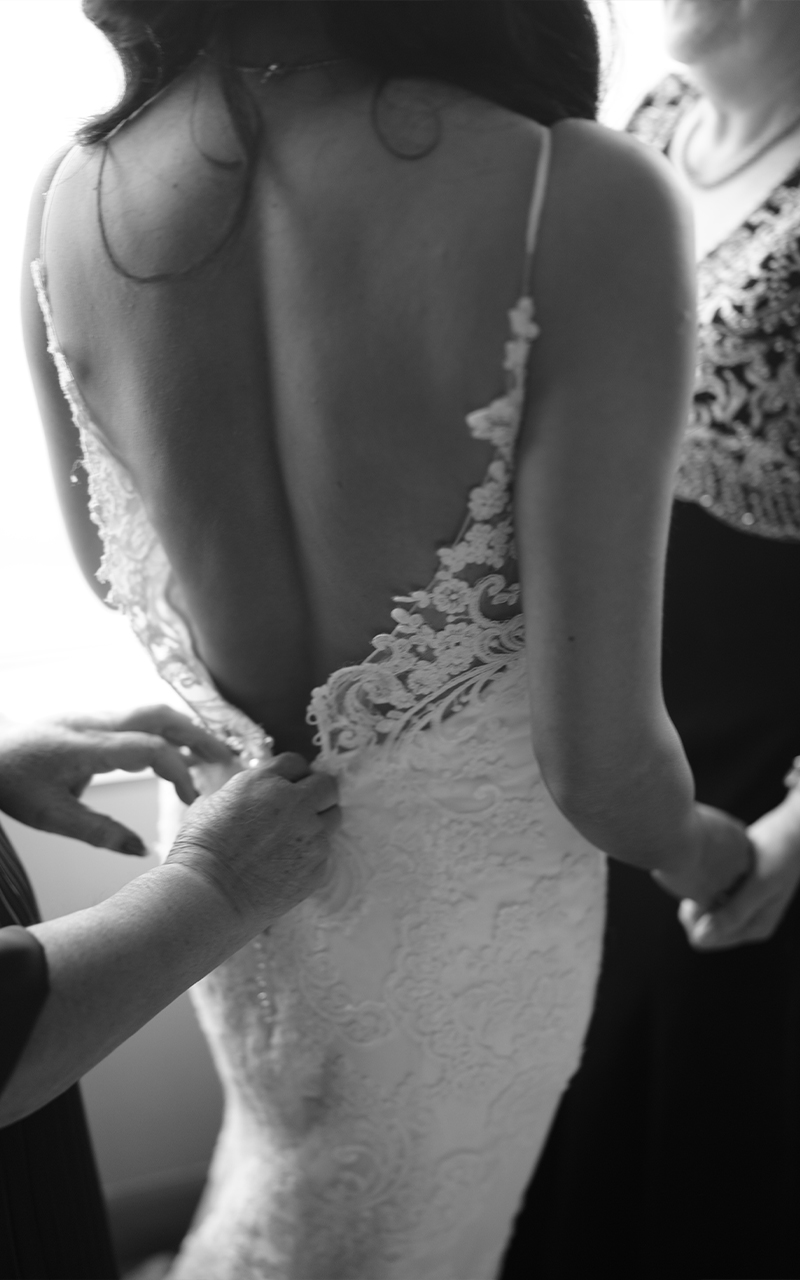 Timeless Tailor - Wedding Suit and Dress